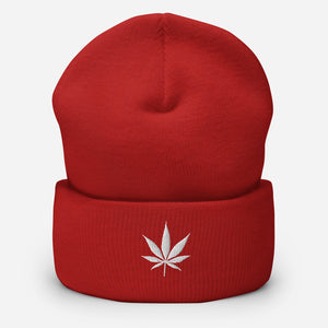 Mary Jane Cuffed Beanie